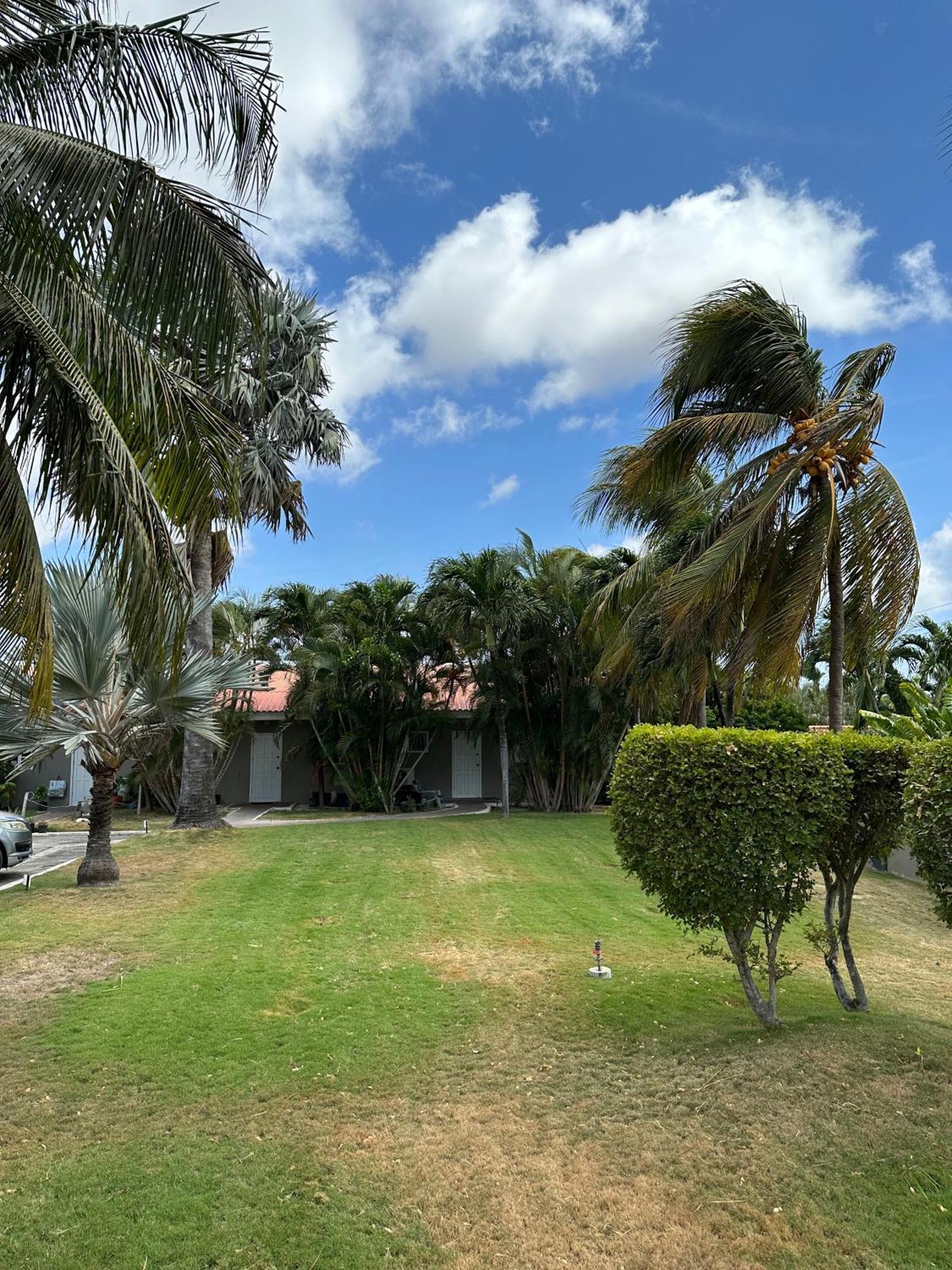 Windmill Apartments Curacao 빌렘스타트 외부 사진