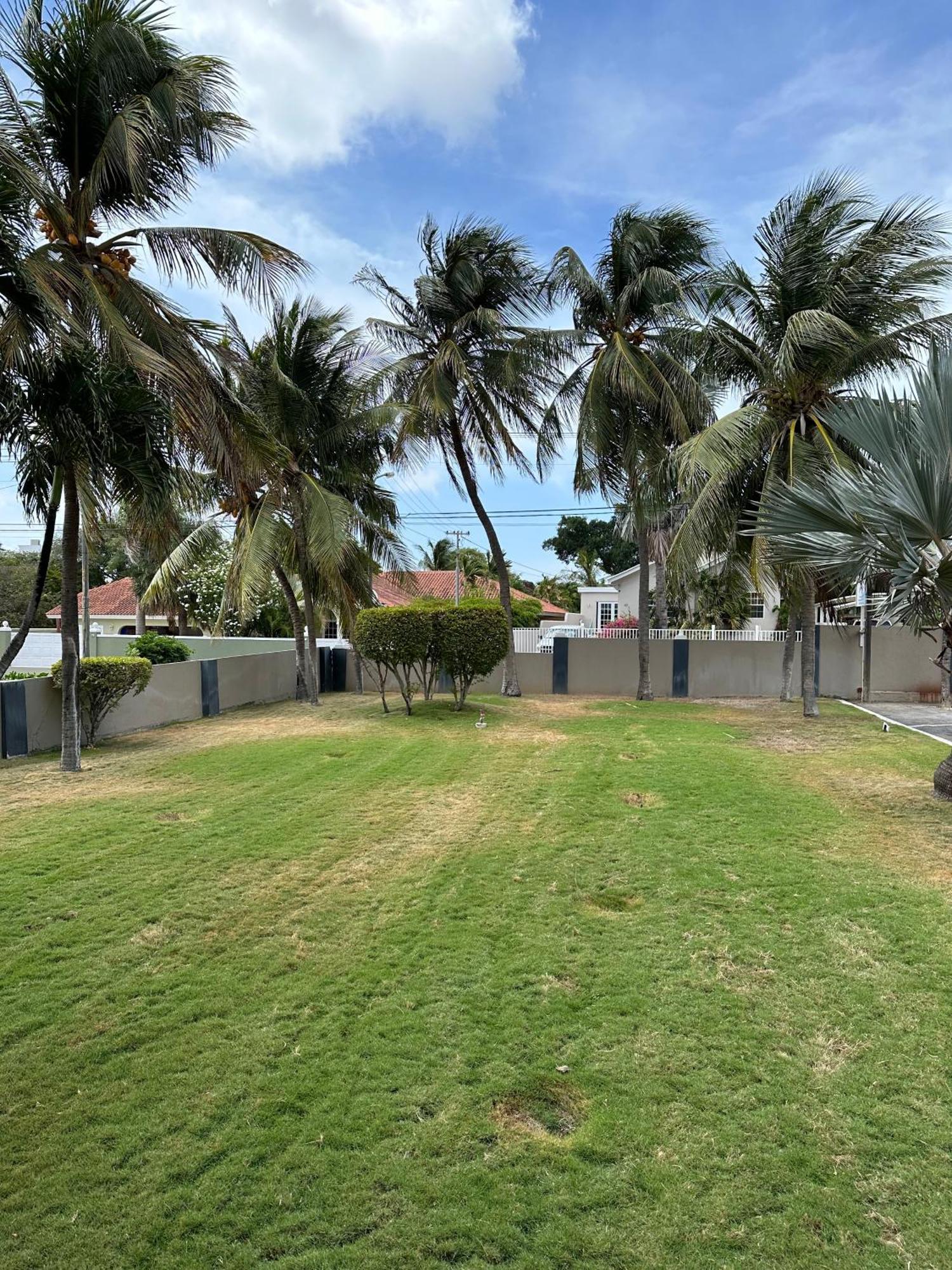 Windmill Apartments Curacao 빌렘스타트 외부 사진